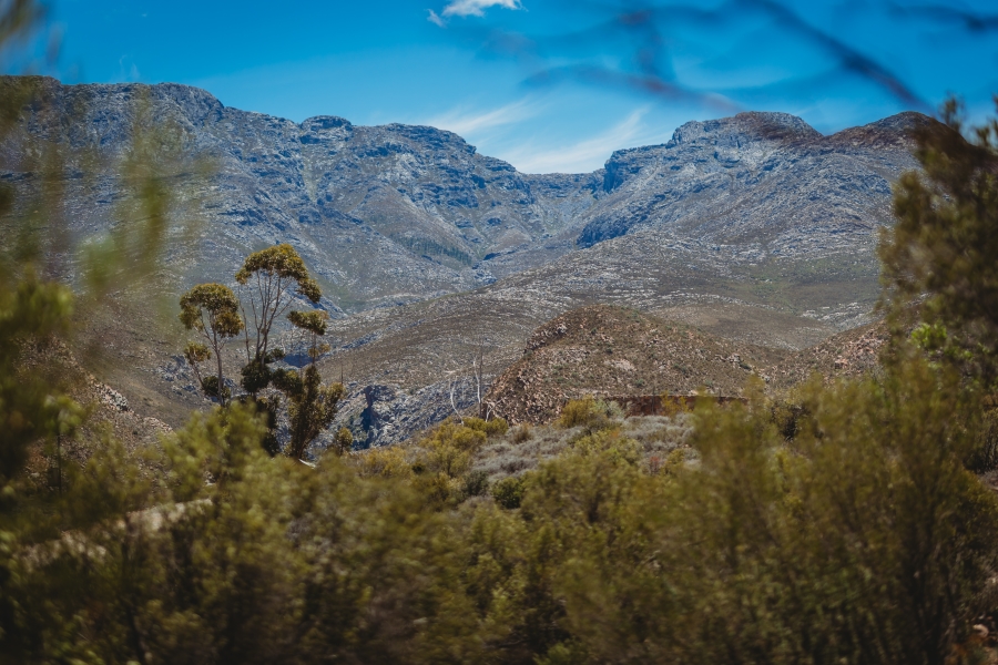 5 Bedroom Property for Sale in De Rust Western Cape